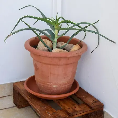 Casa Rodolovich Locazione Breve Apartment *